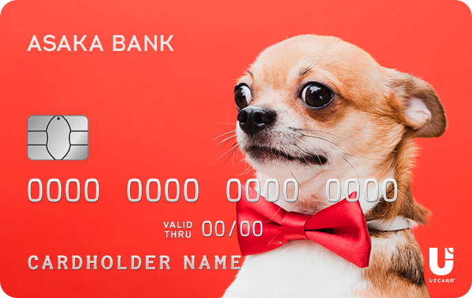 UzCard template 1
